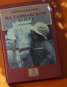 Na tamnavskom mostu Miroslav Kokošar