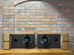 Bose 6.2