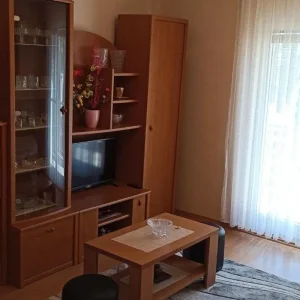 Somborska rampa,151/477m2 !