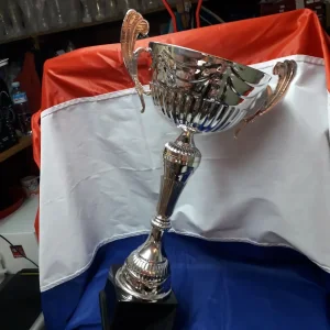 Sportski pehar