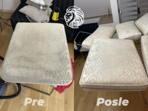 Dubinsko pranje LION CLEAN BEOGRAD