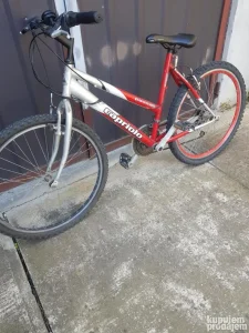 Capriolo Passat