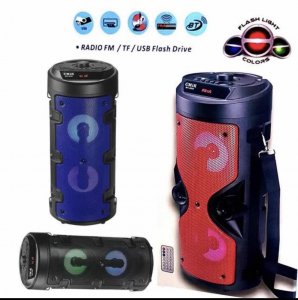 Zvučnik blutut sa mikrofonom - 40cm -MK-8896