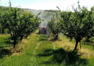 Irig, Neradin, 23 ar