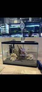 Akvarijum + lampa + filter + grejač