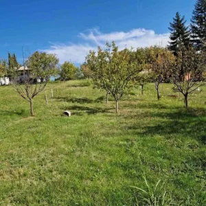 Krušedol 95m2; š:536618