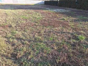 Odlican plac,Veternik 541660