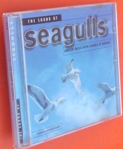 The sound of Seagullis
