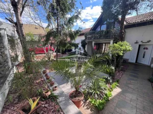 Vojvode Blažete, Cvetkova pijaca, 5+ petosobna, 280 m²