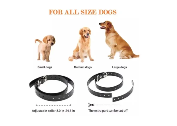 OGRLICA traker za trening dresuru pasa vodootporna