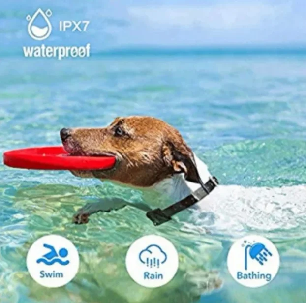 OGRLICA traker za trening dresuru pasa vodootporna