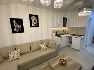 Apartman Izvor tišine