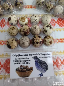 Jaja japanske prepelice