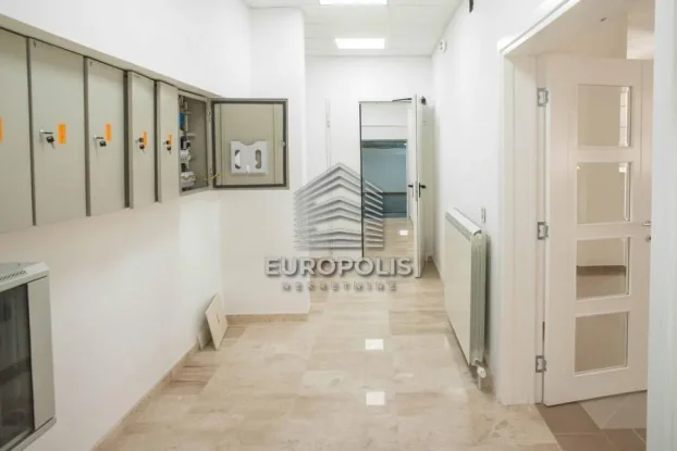 Pivljanina Baja, Dedinje, 5+ petosobna, 1400 m²