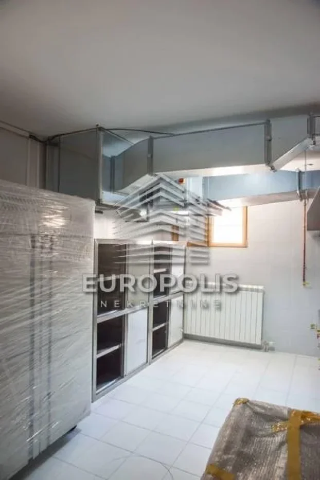 Pivljanina Baja, Dedinje, 5+ petosobna, 1400 m²