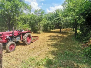 tarupiranje i krcenje zaraslih povrsina