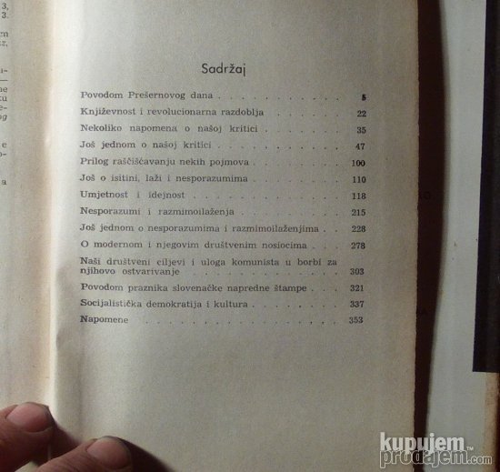 Književnost i društvo