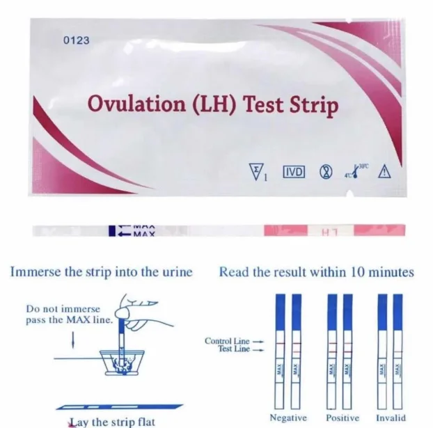 Trake za ovulaciju, testovi za ovulaciju i trudnocu