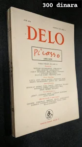 DELO  Pikaso