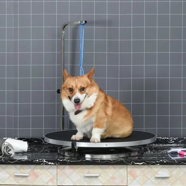 PawHut sto za šišanje pasa