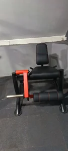 Leg extension