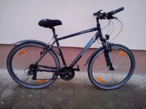 Bicikl Pegasus Avanti