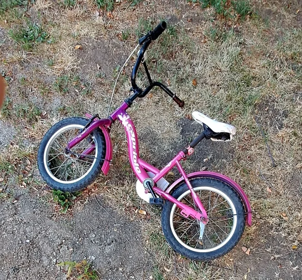 bicikl za devojčice 12 incha