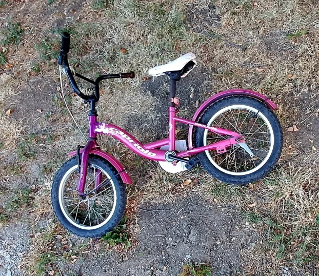 bicikl za devojčice 12 incha