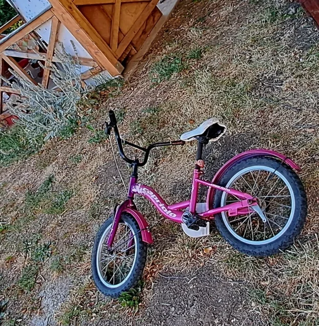 bicikl za devojčice 12 incha
