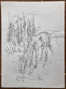 Konj