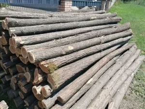 Bagremovi stubovi po meri