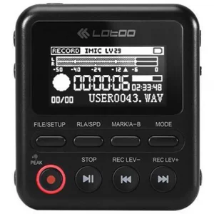 Lotoo  PAW 1 64GB