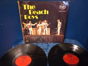The Beach Boys 2LP