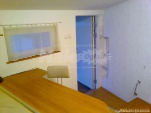 Draže Pavlovića , Botanička bašta, 0.5 garsonjera, 24 m²