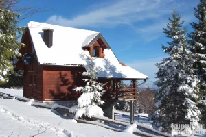 Izdavanje vikendica Brvnare Drveni Kutak Tara Sekulic