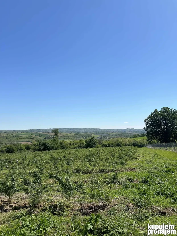 Kosmaj Sopot Nemenikuće 62 ar