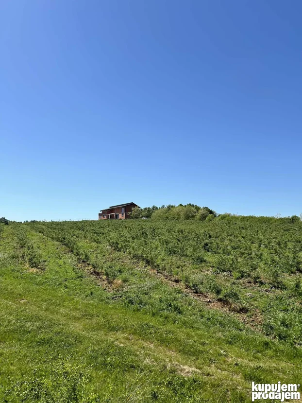 Kosmaj Sopot Nemenikuće 62 ar