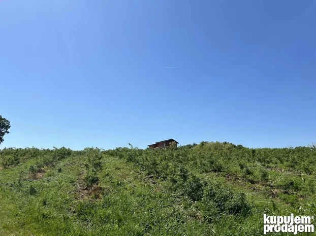 Kosmaj Sopot Nemenikuće 62 ar