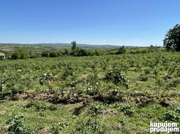 Kosmaj Sopot Nemenikuće 62 ar