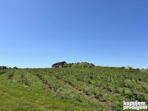 Kosmaj Sopot Nemenikuće 62 ar