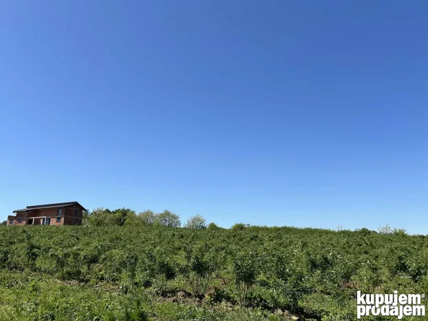 Kosmaj Sopot Nemenikuće 62 ar