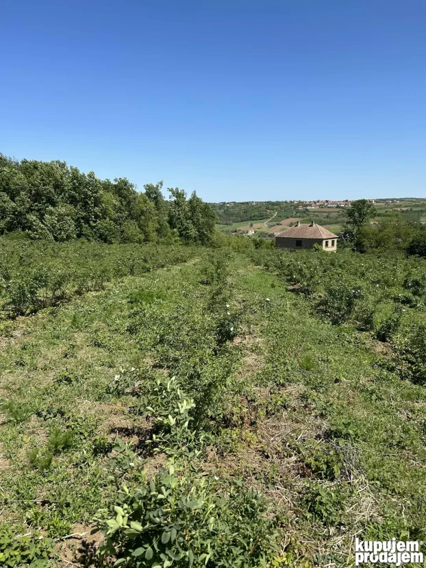 Kosmaj Sopot Nemenikuće 62 ar