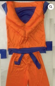Kostim Goku