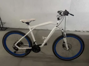 BMW bickl