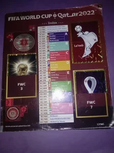 Qatar 2022 Panini