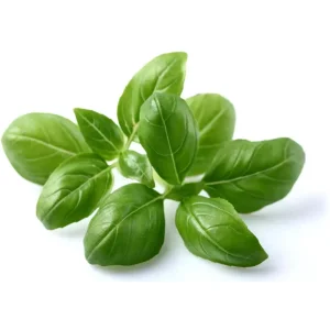 Clickngrow Bazsalikom Novenykapszula Refiller Smart