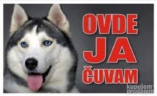 Tabla Ovde ja čuvam-HASKI   PSI