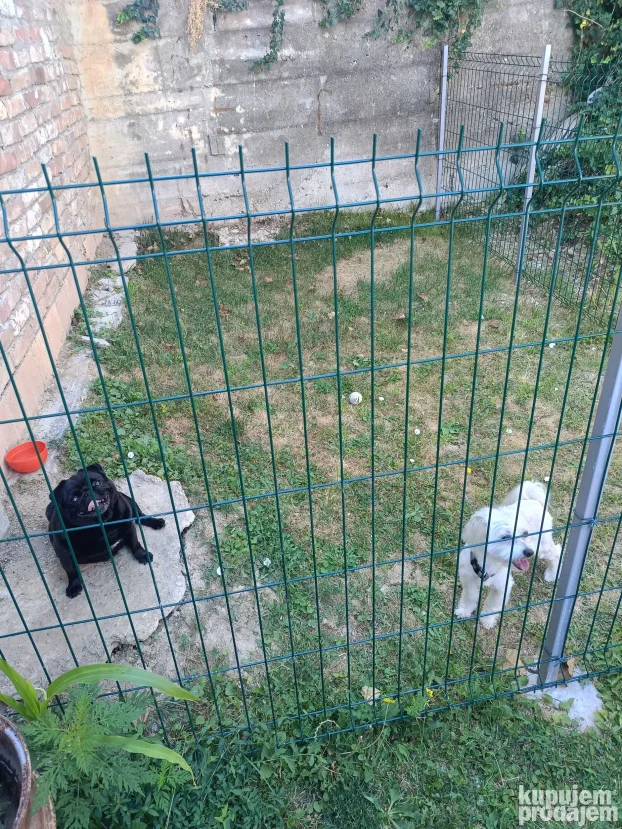 Pansion za pse "Fito"