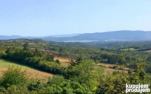 Knić, Ljuljaci, 570 ar