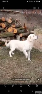 Retriver 064 289 3 553